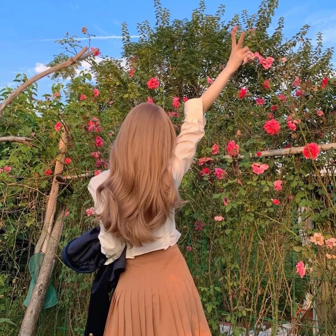 再见我逝去的青春